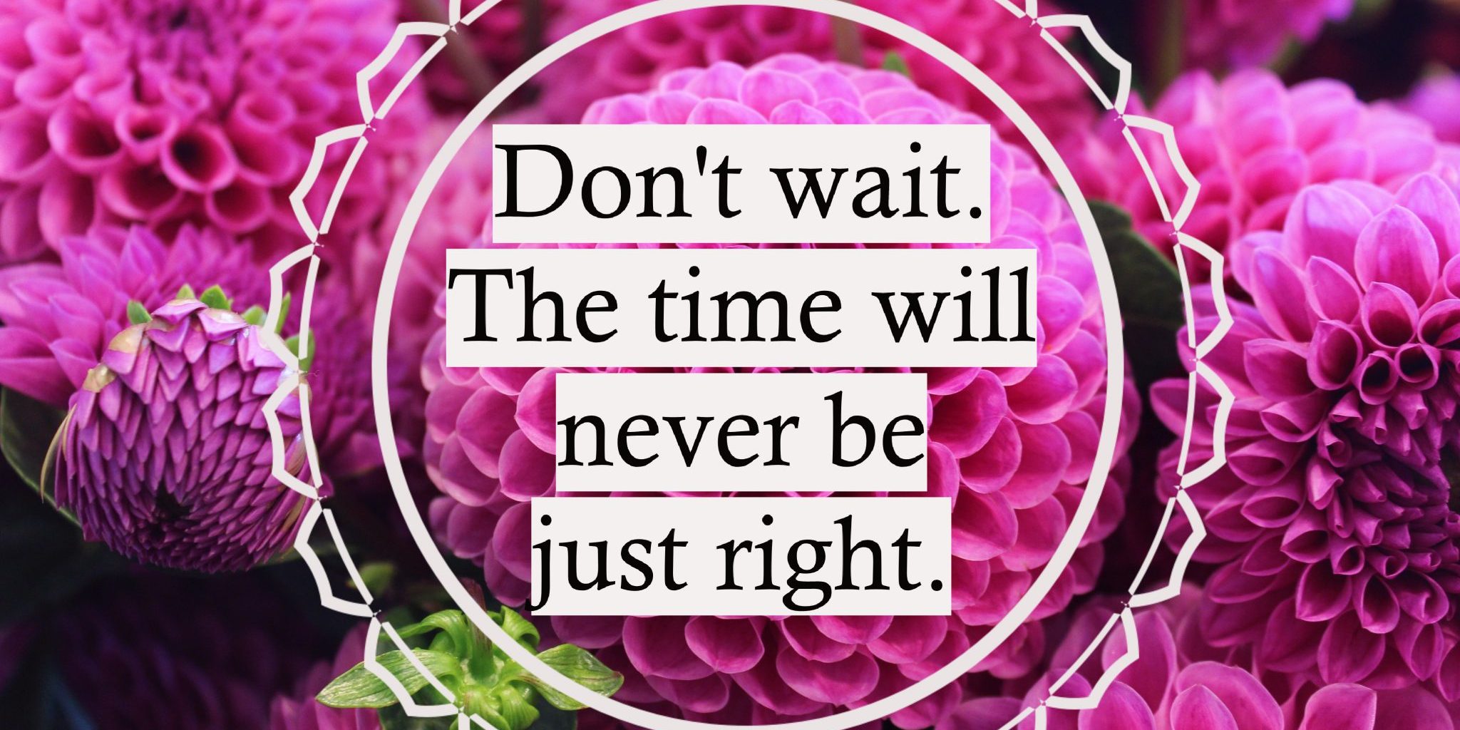 Heleana’s Vitalicious – Inspiring!