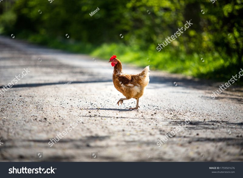 Spain - chicken road online