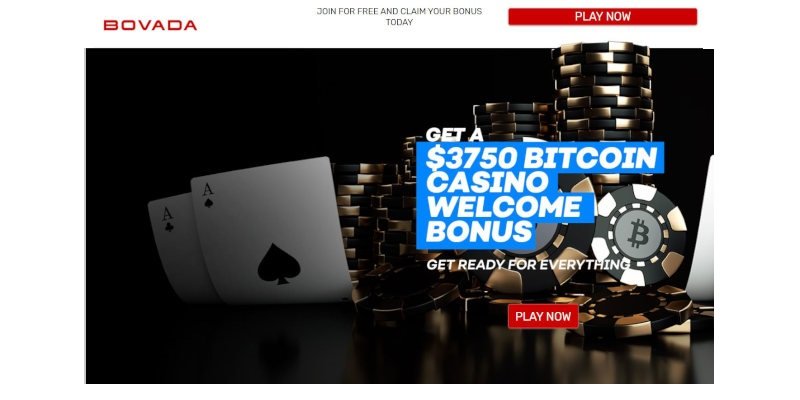Discover the Thrilling World of Avocasino Casino Slots and Bonuses - overview